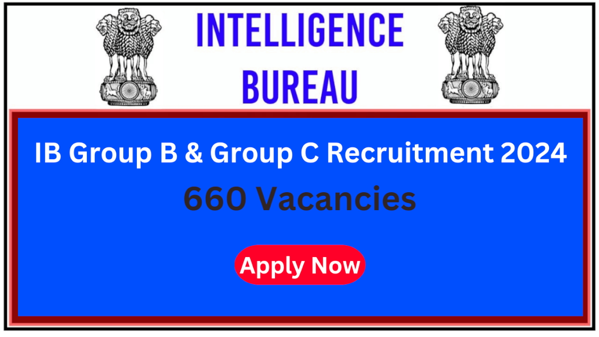 IB Group B & Group C Recruitment 2024