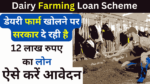 Dairy Farming Loan Scheme 2024