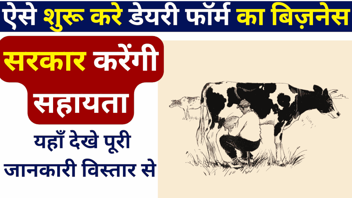 Start dairy farm business like this, government will help