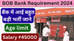 BOB Bank Requirement 2024