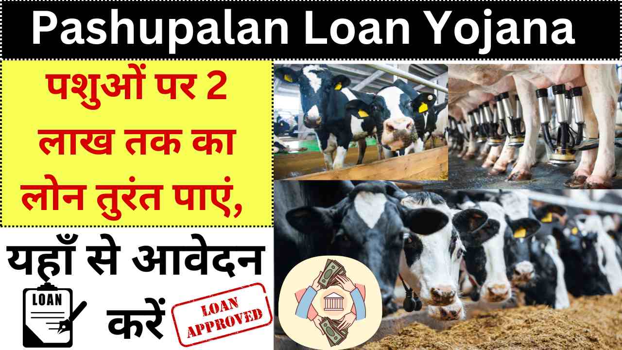 Pashupalan Loan Yojana